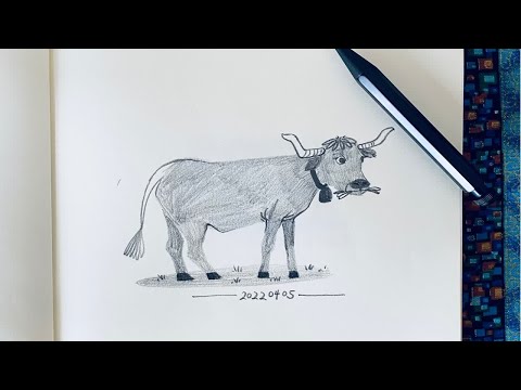 02速写｜铅笔手绘｜吃草的小牛