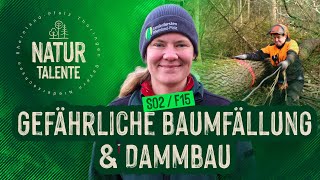 🌲 Gefährliche Baumfällung & Dammbau 🌊 I #NATURTALENTE Folge 15 Staffel 2