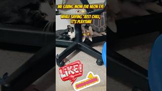 It’s called FUN mom🤣try it sometime #shorts #genzhumor #genztalks #funny #relax #viralvideo #neon