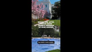 Before and after photos show Trump’s redesign of Rose Garden