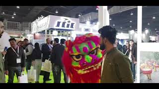 SATTE INDIA 2020 (LION KING)
