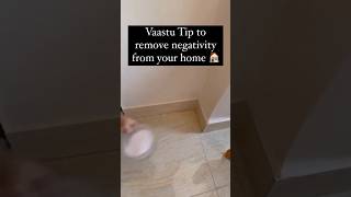 Vaastu Tip to remove negativity from your home 🏠Read description for more details 9619252916