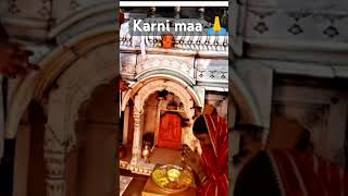 karni maa 🙏#deshnok #karnimataofficial #karni_mata_status_video #karnimatadeshnok #matarani #chirja