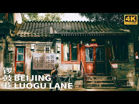 Luogu Lane | China 144 Hour Transit Visa | Chinese Street Food | Beijing Scenery | 4K HD 60fps Video