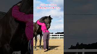 ベッタベタに甘える元競走馬が可愛すぎる #馬 #引退馬 #動物 #shorts