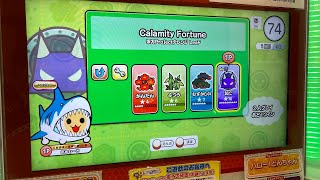 カラミティの長複合