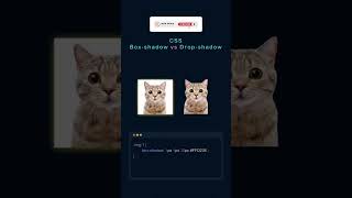 Box Shadow vs Drop Shadow in CSS | Quick Visual Difference Explained #htmlcss #html #css #css3course