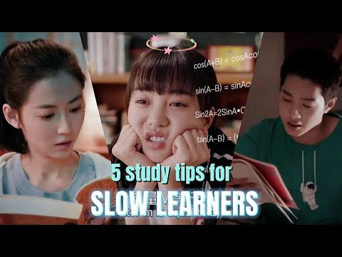 💡Study tips for slow learners