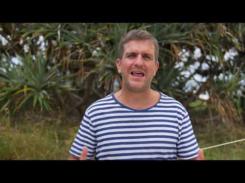 Don’t Do More—Do What Works