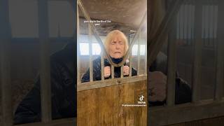 MUM acts like my HORSE for the DAY #equestrain #horse #equestrianjourney #horsecare #horsecommunity