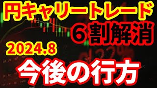 【為替相場】円キャリートレードは6割解消！さらに解消進むか！今後の見通し！