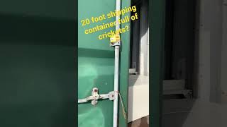 20 foot shipping container full of crickets?