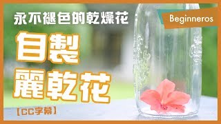 【手作教學】永不褪色的乾燥花：自製麗乾花｜Beginneros