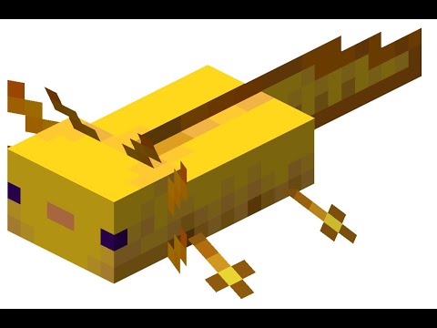 Two Laggy Axolotls