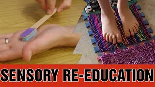 Sensory Re-education Techniques in Neuro Rehabilitation