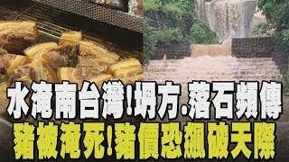 停班課最新! 高屏部分地區停課.嘉義.台南正常上班課 豬價準備開漲! 暴雨淹死數千豬隻 死亡數量恐持續攀升... ｜【話題懶人包】｜TVBS新聞