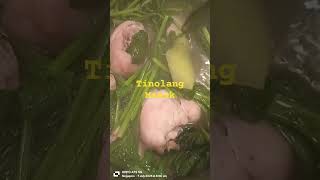 TINOLANG MANOK #trending #food #shorts