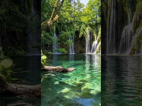 10 beautiful pictures in 15 sec #shorts