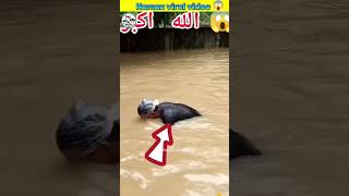 Pani ke ander kiya sajda 😱#short #namaz #trending #islamicvideo #namazi#viral #viralshorts