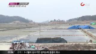 염전노예