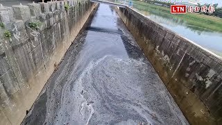 高雄鳳山溪變黑龍江！大量死魚泛油污臭翻 凶手抓到了