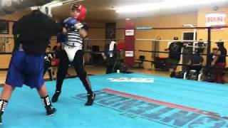 ITALIAN PUERTO RICAN HUNGARIAN MEXICAN MIXED VEGAN BOXER BRO’S  (Victorville & Hesperia Boxing)
