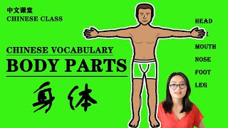 Body Parts Vocabulary in Chinese//hsk 2//身体部位//中文单词