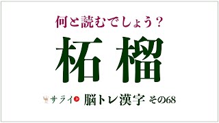 「柘榴」は何の果物？正しい読み方は？「せきりゅう」ではありません【脳トレ漢字68】