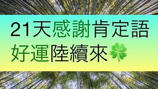 21天🦋感謝肯定語🍀432Hz 好運陸續來😎11:11 廣東話冥想練習21days Gratitude Cantonese Guided Meditation