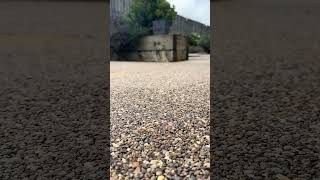 The Satisfying Sound Of Resin Bound! #resinbound #homeimprovement #satisfying
