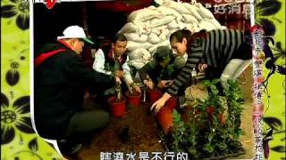 我們EYE旅行(96)~雙溪-水水山城