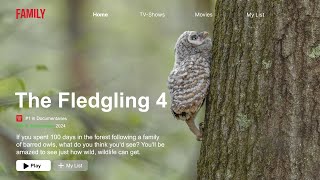 An Epic Barred Owl  Documentary: The Fledgling 4 Nature documentary