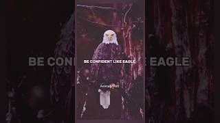 eagle motivational video💪 #viral #trending #shorts #youtubeshorts