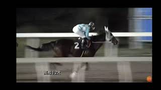 高知競馬　八百長　疑惑