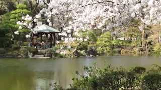 Hibiya Koen - Japanese Park, Tokyo ● 日比谷公園