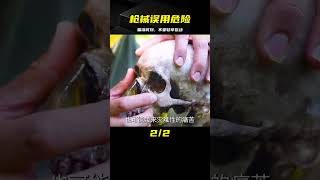 槍械錯誤使用，瞄準的精準瞬間，讓軍事科技熱點引發你的警覺 #军事武器 #军迷 #涨知识 #武器科普 #终结者