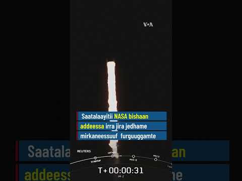 Saatalaayitiin NASA Bishaan Addeessa Irra Jiraachuuf Dhiisuu Laaluuf Ergamte| VOA Afaan Oromoo