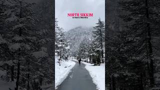 Sikkim in Winter❄️ #shorts #shortsvideo #youtubeshorts #northsikkim #sikkim #snowfall #ytshorts #yt