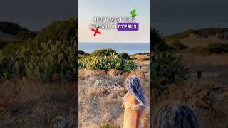 Be careful! #Cyprus #cactus #Fruit #travel #traveltips #best #food #traveltok #travellife #interest