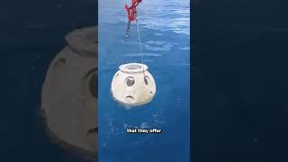 Human Reef Balls EXPLAINED 😱 (grandma?)