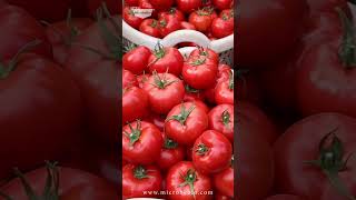 Top #biofertilizers  from #microbebio  to Improve Crop Yield