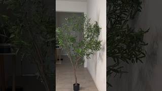 This new 7ft Lush Olive Tree features a new design🍃 #homedecor #fauxtree