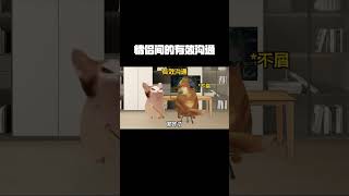 情侣间的有效沟通 (原音频来自@脸脸CP )#cheems #cheems小剧场