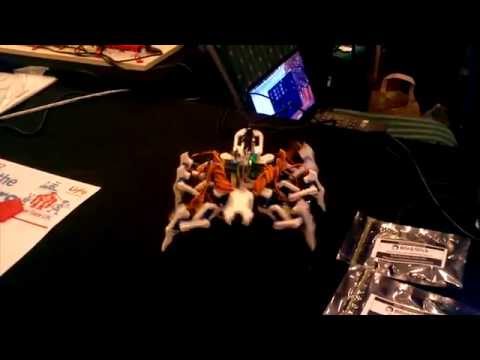 Insect Hexapod Robot. Maker Faire 2014, Centre For Life, Newcastle