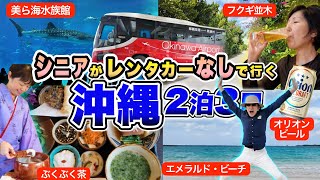 Okinawa  👒 Scenery and gourmet food / Relaxed 2-night, 3-day trip for a senior couple without a car!