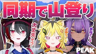 【同期】ズッコケ三人組で協力し、無事登頂成功なるか…？！【PEAK】【TRIMAD/月赴ゐぶき/うる虎がーる/八十科むじな/あおぎり高校】