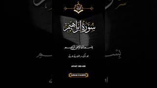 Quran #سورۃ ابراہیم# for you #beststatus #foryouツforyou #シ゚viralシfypシ゚viralシalシ