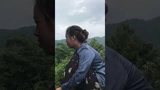 越南小玄姑娘去水牛放牧风景农村生活很幸福#越南小玄channel#shorst