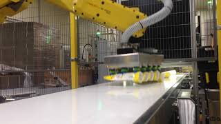 FANUC 가반중량 20Kg   세제 인케이싱