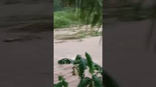 CURAH HUJAN TIADA HENTI MENGAKIBATKAN BANJIR #banjir #hujan #air